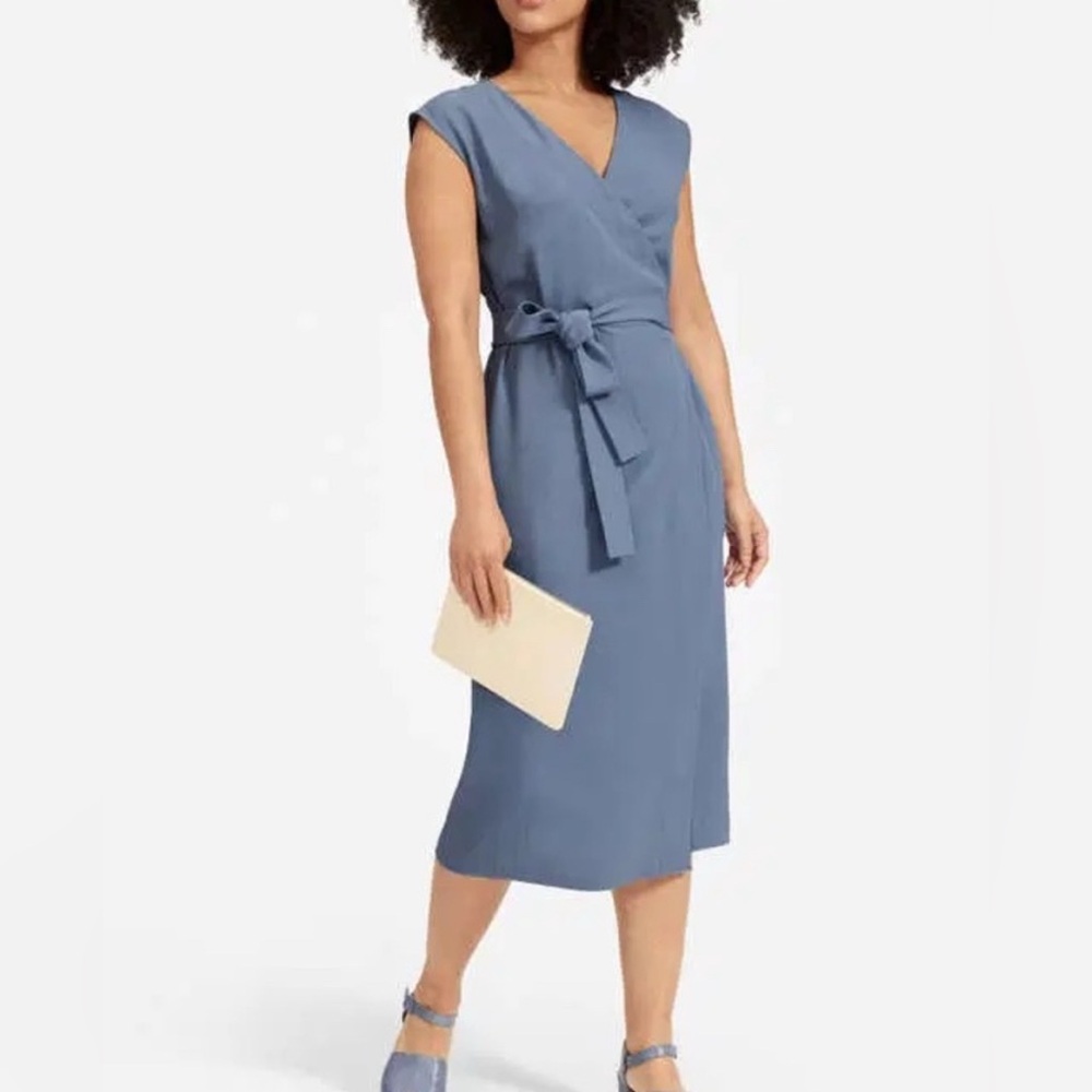 Everlane Japanese GoWeave Wrap Dress